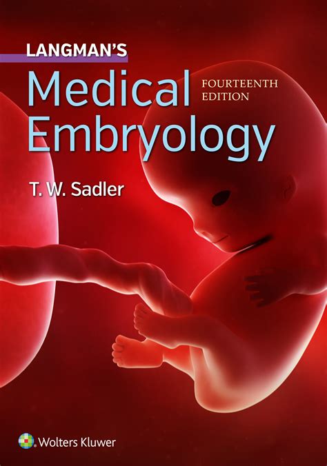 langman s medical embryology langman s medical embryology Reader
