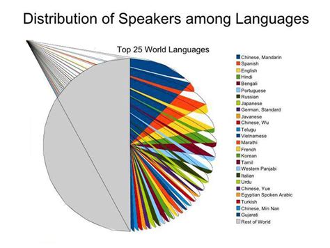 language and linguistic diversity in the us an introduction Reader