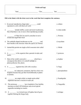 language arts support protists and fungi answers Reader