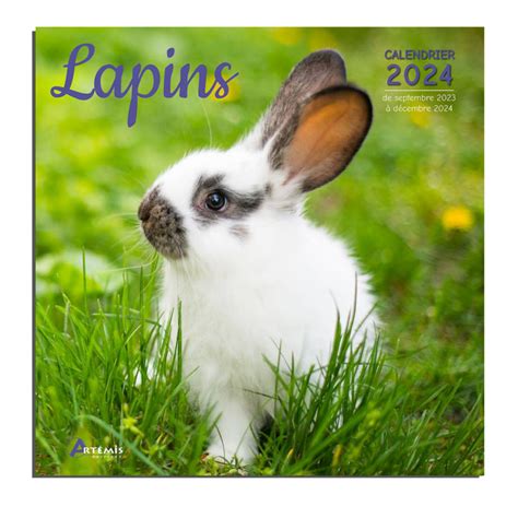 lapins cr tins calendrier bonnes r solutions PDF