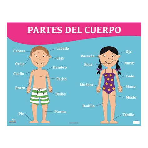las herramientas del cuerpo spanish edition PDF