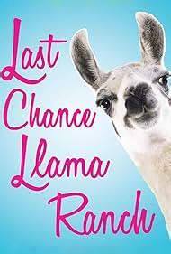 last chance llama ranch PDF