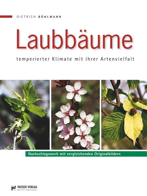 laubb ume temperierter klimate ihrer artenvielfalt Epub