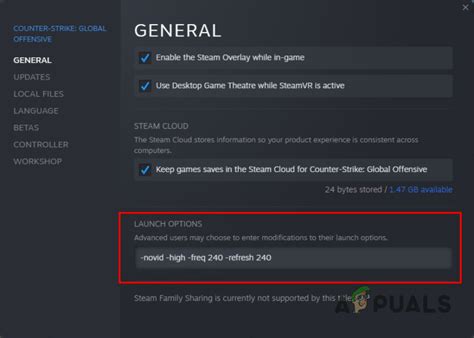 launch options steam