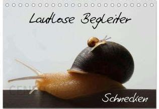 lautlose begleiter schnecken wandkalender monatskalender Epub