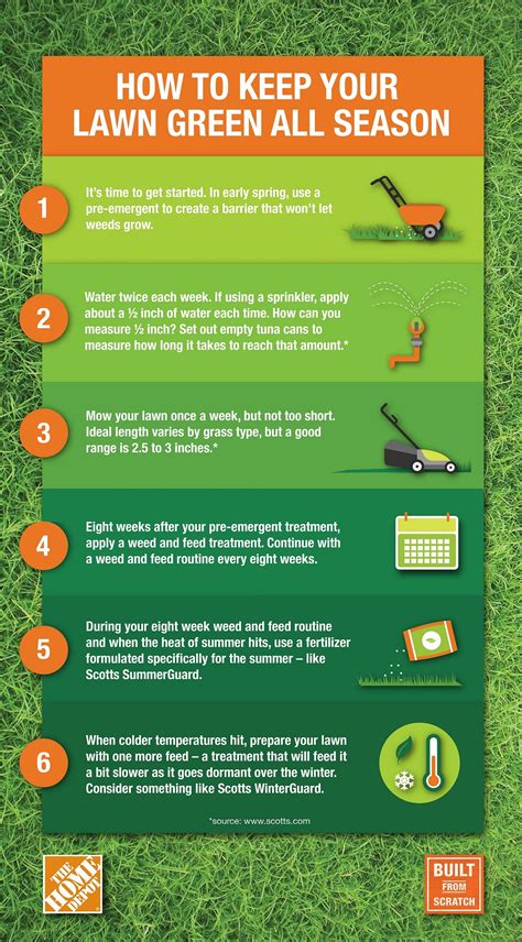 lawn care 51 tips for taking care of Doc
