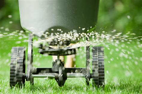 lawn care fertilizers