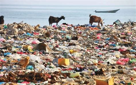 laws against plastic pollution in india