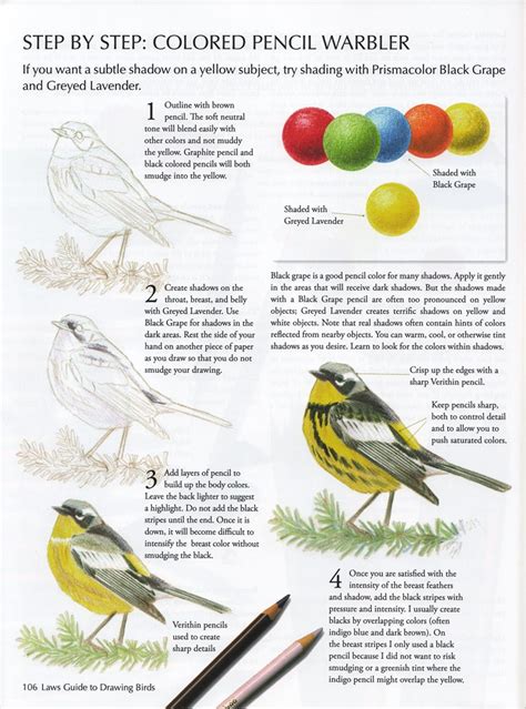 laws guide to drawing birds the Epub