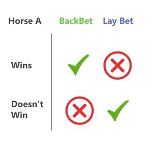 lay meaning in betting