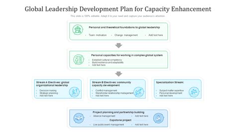 leadership development in a global world leadership development in a global world Kindle Editon