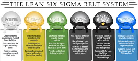 lean six sigma black belt engineroom pdf Doc