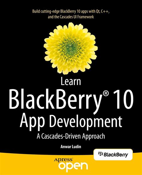 learn blackberry 10 app development a cascades driven approach Kindle Editon