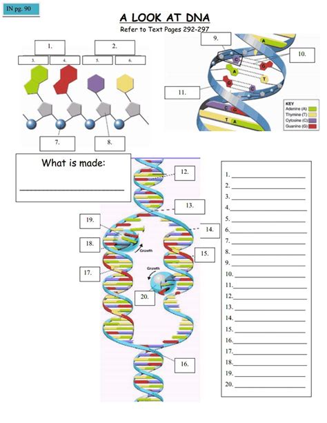 learning about dna grades 4 8 Doc