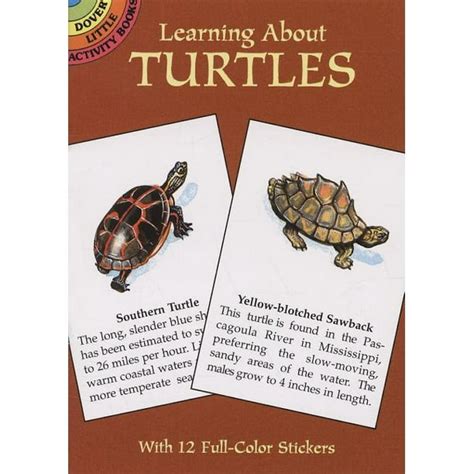 learning about turtles dover little activity books Reader