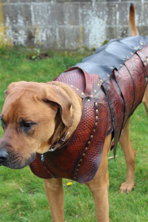 leather dog armor