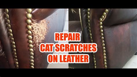 leather furniture repair kit cat scratches Doc