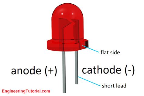 led anode and cathode