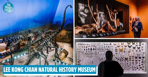 lee kong chian natural history museum review