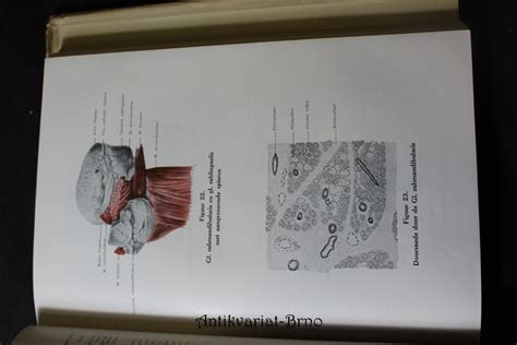 leerboek der beschrijvende ontleedkunde van den mensch zenuwstelsel Kindle Editon