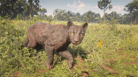 legendary panther rdr2