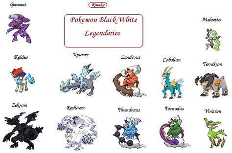 legendary pokemon in black