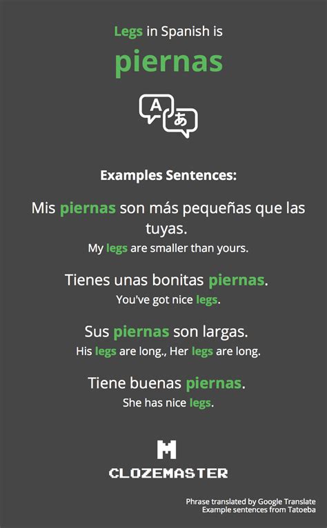 legs in spanish translation