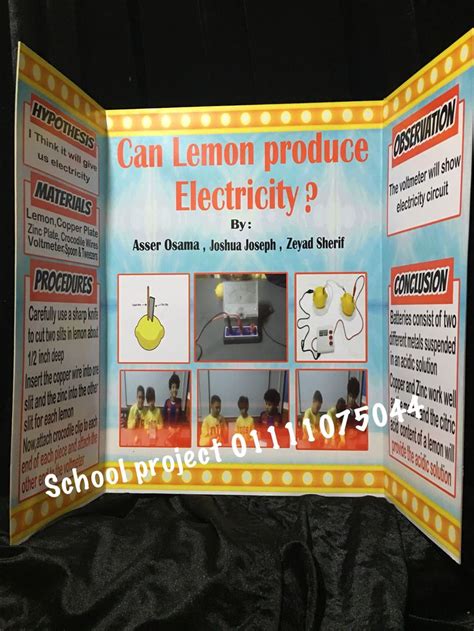 lemon electricity science project display board Reader