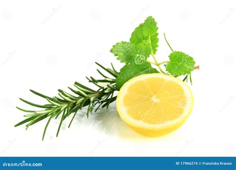 lemon herbs lemon herbs Kindle Editon
