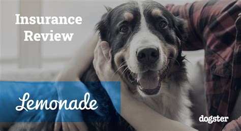 lemonade insurance pet