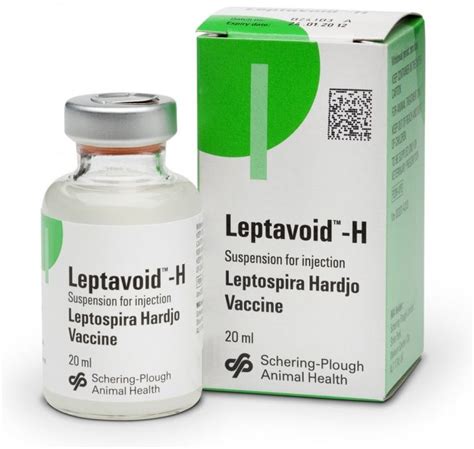 leptospirosis vaccination