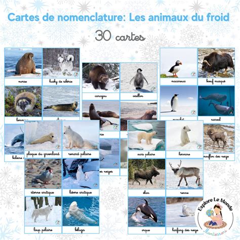 les animaux du froid PDF