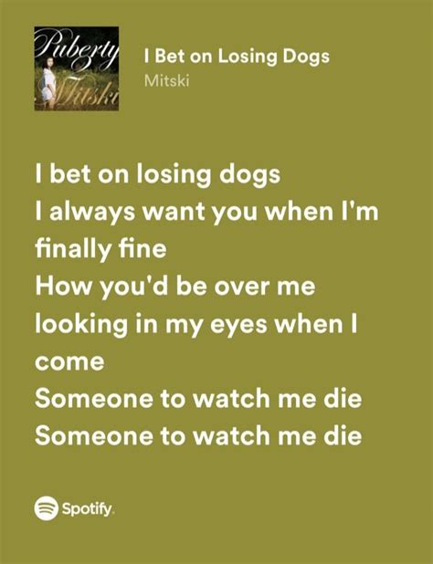 letra de mitski i bet on losing dogs