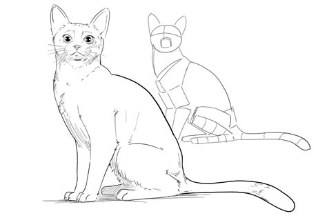 lets draw cats just for fun Reader
