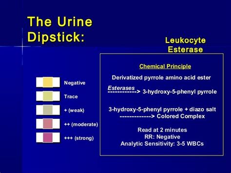 leu trace in urine