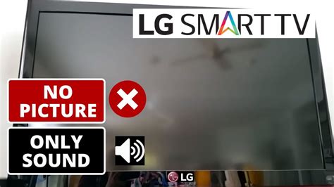 lg plasma tv troubleshooting no picture Kindle Editon