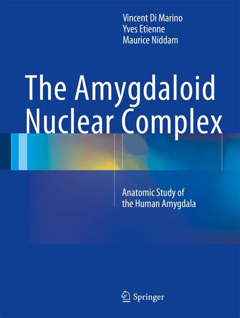 library of amygdaloid nuclear complex anatomic amygdala Doc