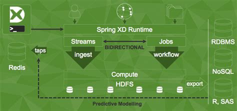 library of pro spring xd processing integration Reader