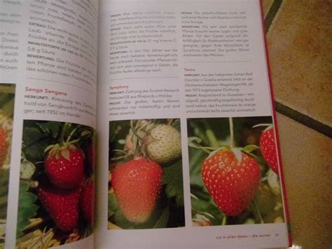 lieben sie erdbeeren pfiffige erdbeere ebook Doc
