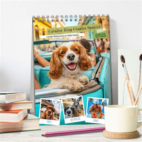 liebenswerte cavalier charles spaniel tischkalender Doc