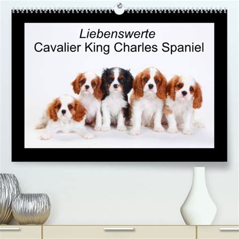 liebenswerte cavalier charles spaniel wandkalender PDF