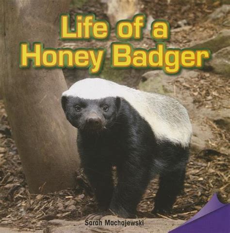 life of a honey badger infomax common core readers Epub