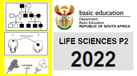 life science paper 2 gauteng department of education Kindle Editon