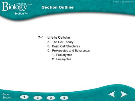 life-is-cellular-packet-answer-key Ebook Reader