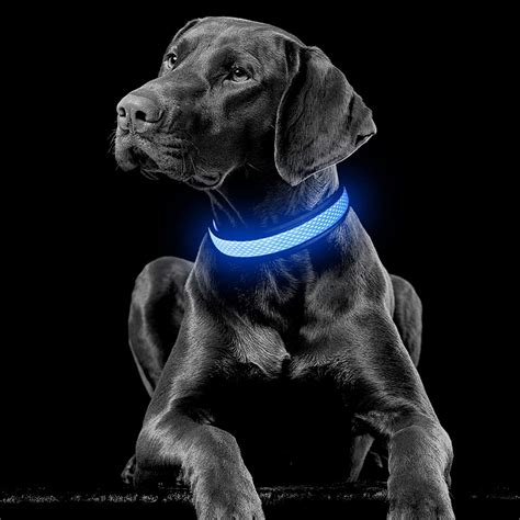 light for a dog collar