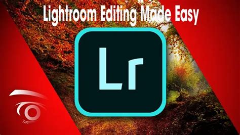 lightroom 4® made easy PDF