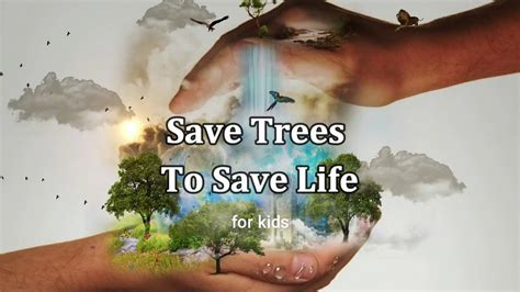 like a tree how trees women and tree people can save the planet Reader
