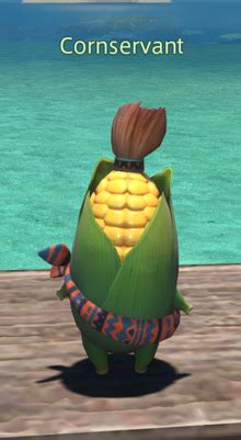 lil cornservant ff14