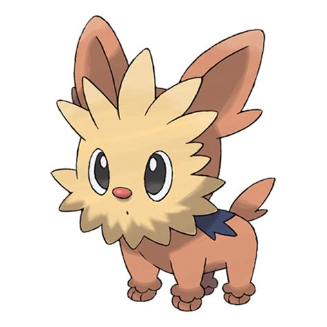 lillipup serebii