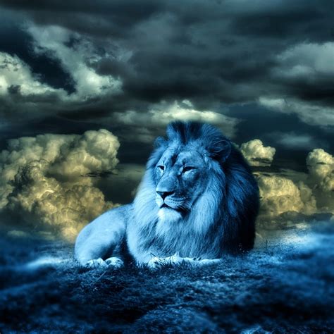 lions blue